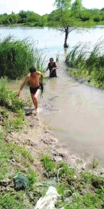 通榆一女子被水冲走 57岁村主任跳河救人 - 新浪吉林