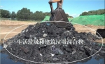 图2 垃圾坑内挖掘出的垃圾 - 新浪吉林