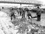 摄影 李成伟 　　环卫工人清理路边积雪。 - 新浪吉林