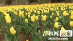 朱晓云 - News.365Jilin.Com