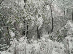 吉林白山部分山区飘雪 长白山下冬春并存(图) - 新浪吉林