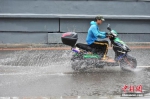 资料图：8月17日，辽宁沈阳，市民在雨中出行。当日，辽宁省气象灾害监测预警中心12时59分发布暴雨橙色预警信号。中新社记者 于海洋 摄 - 新浪吉林