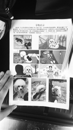 寻找爱犬的漫画。康重华 摄 - 新浪吉林