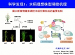 2017年度国家科学技术奖励大会丨​国家自然科学奖一等奖：水稻高产优质性状形成的分子机理及品种设计 - Ccnews.Gov.Cn