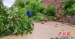 降雨导致山体滑坡 初俊飞 摄 - 新浪吉林